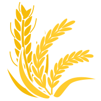 金融月 | 惠农服务——您身边的农银人寿